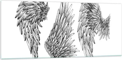 Produktbild von Bilder auf glas - Zeichnung Engel Flügel Federn - 120x50cm - Glasbilder - Wandbilder - Kunstdruck - zum Aufhängen bereit - Wanddekoration aus Glas - Glas Bilder - Wandbild auf Glas - GAB120x50-2950