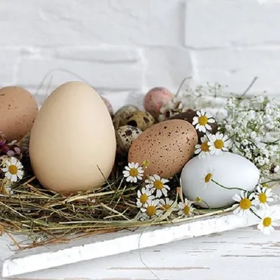 Image de 20 serviettes Pastel Eggs - Nid de Pâques naturel 33x33cm