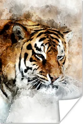 Produktbild von MuchoWow® Poster Tiger - Kopf - Gemälde 20x30 cm - Papierdruck