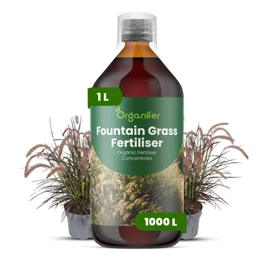 Produktbild von Brunnengras Flüssigdünger 2-1-8 NPK – 1L Flüssig-Pflanzendünger für Brunnengräser & Zierpflanzen – Organifer