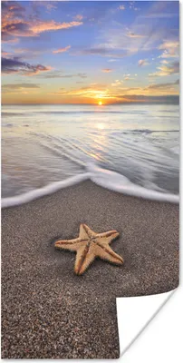 Produktbild von MuchoWow® Poster Seestern - Wasser - Sonne 75x150 cm - Dekoration für die Wände
