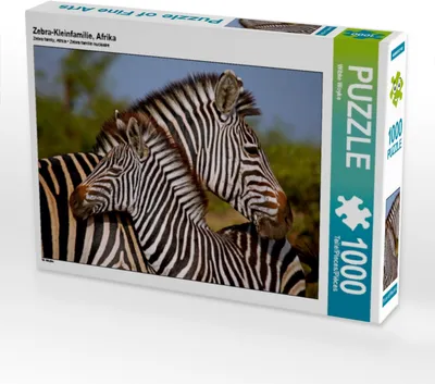 Produktbild von Calvendo Zebra-Kleinfamilie, Afrika 1000 Teile Puzzle quer 640x480mm, Woyke Wibke; 7290209