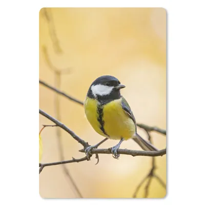Produktbild von MuchoWow® Mauspad Mousepad Kohlmeise - Zweig - Vogel - Tiere 40x60 cm - Mousepads - Maus Mat - Pad - Mausunterlage - Schreibtisch Accesoire
