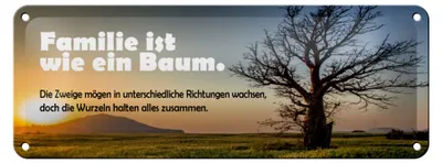 Produktbild von Blechschild Spruch 27x10cm Familie ist wie Baum die Zweige Dekoration