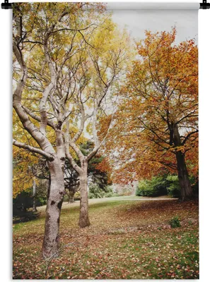 Produktbild von MuchoWow® Wandteppich Wandbehang Herbst - Bäume - Laub - Natur 90x135 cm Tapisserie Dekoration Wandtuch - Baumwolle - Wandskulptur