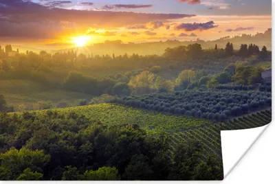 Produktbild von MuchoWow® Poster Toskana - Landschaft - Sonne 120x80 cm - Bilder