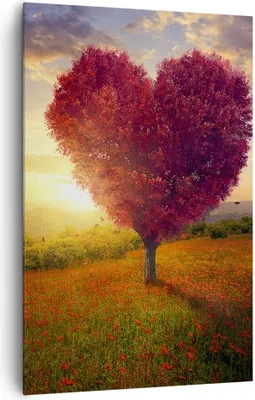 Produktbild von Bild auf Leinwand - Leinwandbild - Einteilig - Baum Wiese Blume - 80x120cm - Wand Bild - Wanddeko - Wandbilder - Leinwanddruck - Wanddekoration - Leinwand bilder - Wandbild - PA80x120-3790