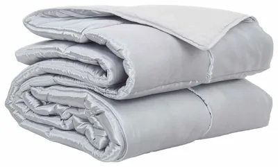 Immagine prodotto di vidaXL Coperta per letto per tutte le stagioni, 200 x 240 cm, 300 g/m², colore argento