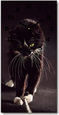 Produktbild von Wanduhr aus Glas – 30x60 cm - Glasbild - Glasuhr - Gehärtetes Glas -Schwarze Katze
