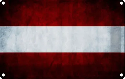 Produktbild von vianmo Blechschild 20x30 cm Österreich Fahne Flagge Wappen