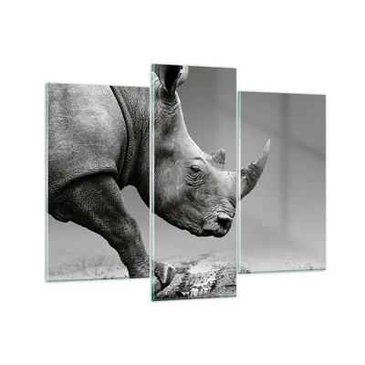 Produktbild von Bilder auf glas - 3 Teile - Nashorn Monochrom Tier - 130x100cm - Glasbilder - Wandbilder - Bilder - zum Aufhängen bereit - Wanddekoration aus Glas - Glas Bilder - Wandbild auf Glas - GCB130x100-4954
