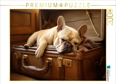 Produktbild von CALVENDO Puzzle Ein Motiv aus dem Kalender "Lieblingsschlafplätze" | 2000 Teile Lege-Größe 90x67cm Foto-Puzzle für glückliche Stunden
