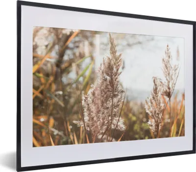Produktbild von MuchoWow® Gerahmtes Poster Schilf - Sonne - Pflanze 40x30 cm - Poster mit Schwarzem Bilderrahmen Wandposter Rahmen Foto Bilder - Bilderrahmen - Poster im Rahmen