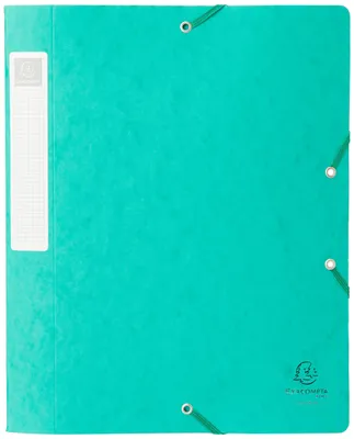 Productafbeelding van EXACOMPTA verzamelbox Cartobox, DIN A4, 40 mm, groen