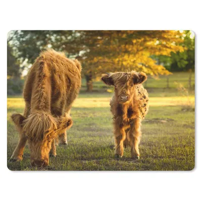 Produktbild von MuchoWow® Mauspad Mousepad Schottischer Highlander - Kalb - Herbst 40x30 cm - Mousepads - Maus Mat - Pad - Mausunterlage - Anti Rutsch