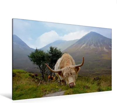 Produktbild von Calvendo  Textil-Leinwand 120 cm x 80 cm quer Ein Motiv aus dem Kalender Isle of Skye - Die schönsten Landschaften Schottlands, CALVENDO; 7443006