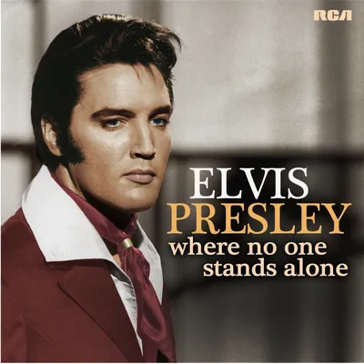 Immagine prodotto di Elvis Presley - Dove nessuno sta da solo Vinile