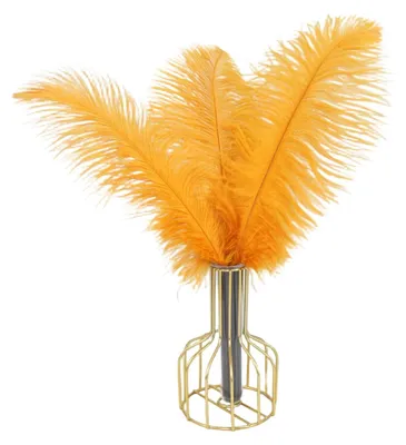 Productafbeelding van Set van 10 Natuurlijke Struisvogelveren 40-45 cm