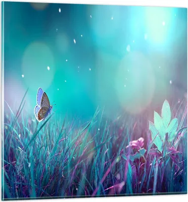 Produktbild von Bilder auf glas - Schmetterling Wiese Blume - 70x70cm - Glasbilder - Wandbilder - Kunstdruck - zum Aufhängen bereit - Wanddekoration aus Glas - Glas Bilder - Wandbild auf Glas - GAC70x70-4077