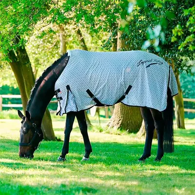 Produktbild von Imperial Riding Carlys Anti-fliegendecke  205 cm  205 cm