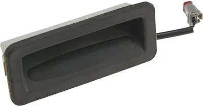 Image de Spinac, porte arrière