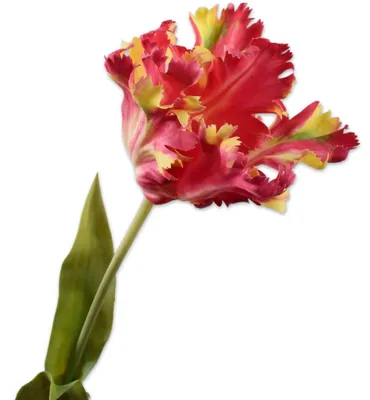 Productafbeelding van Zijden bloem, kunstbloem, tulpenstengel, rood-geel, 71 cm