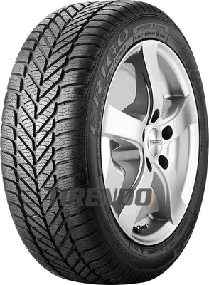 Image de Debica Wi car-tyres Frigo 2 ( 175/65 R15 88T XL )