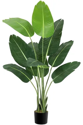 Imagen del producto de Pachirriz artificial Canna, 137 cm – Planta artificial realista para maceta, ideal para el hogar, la oficina y la terraza, sin necesidad de cuidados
