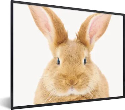 Produktbild von MuchoWow® Gerahmtes Poster Kinder - Kaninchen - Kind - Mädchen - Jungen 80x60 cm - Poster mit Schwarzem Bilderrahmen Wandposter Rahmen Foto Bilder - Schwarzem - Mit Gestell