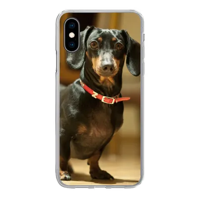 Produktbild von MuchoWow® Handyhülle Schutzhülle Hülle für iPhone X Porträt eines schwarzen Dackels Silikon Softcase Handy Hülle - Handyhülle