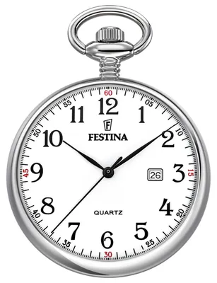 Image de Festina montre Homme F2019/1