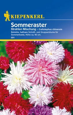 Artikelbild 1 von 'Sommeraster Strahlenmischung' aus der Kategorie Blumensamenmischung