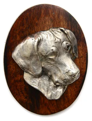 Immagine prodotto di Rhodesian Ridgeback - Brooch for exhibitions, clip with start number, badge for dogs by Art-Dog