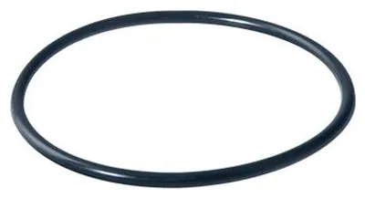 Obrázek produktu pro Průtokový filtr O-kroužek 86x3,5 mm DAFI