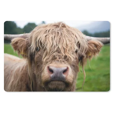 Produktbild von MuchoWow® Schreibtischunterlage Schottische Highlander - Gras - Wald 60x40 cm - XXL Mauspad - Großes Mauspad