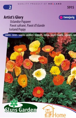 Produktbild von Artist's Glory Zaden, Zweijähriger Isländischer Mohn – Artist's Glory Samen, Isländischer Mohn – Graines de Pavot d'Islande Artist's Glory