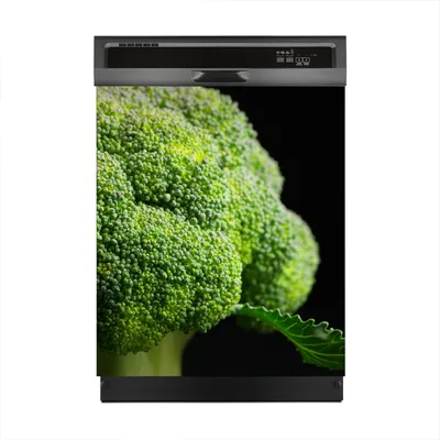 Produktbild von Magnete Dekorative 60x70 cm Küche Magnetmatte Spülmaschine - Gemüse Brokkoli