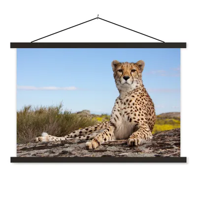 Produktbild von MuchoWow® Textilposter Leopard - Tiere - Natur 120x80 cm mit schwarzem Rahmen - Wanddeko
