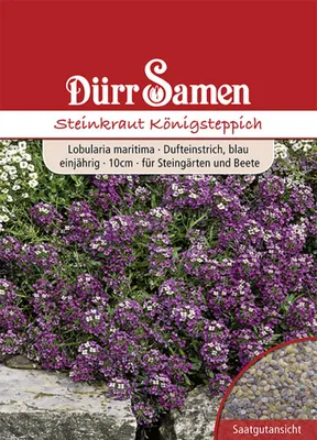 Produktbild von Steinkraut Königsteppich | Steinkrautsamen von Dürr Samen