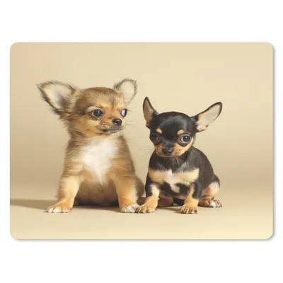 Produktbild von MuchoWow® Mauspad Mousepad Zwei kleine Chihuahua-Welpen 23x19 cm - Mousepads - Maus Mat - Pad - Mausunterlage - Schreibtischunterlage - Mauspad