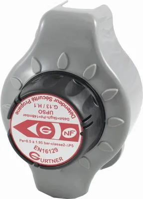 Image de Détendeur Sécurité Propane D.S.P 5 kg/h 148mb GURTNER NF EN Classe 2 M20x150 Propane - 14790.03