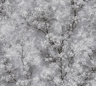 Zdjęcie produktu dla Livingwalls tapeta w kwiaty New Walls tapeta w kwiaty Cosy & Relax tapeta z włókniny szaro czarna biała 10,05 m x 0,53 m