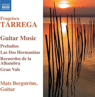 Image de Gitarrenwerke