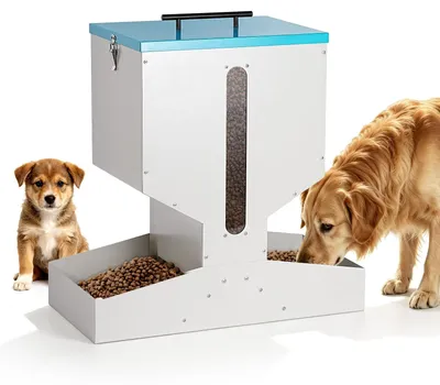 Automatische Futterstation für Hunde, 2 Näpfe, Edelstahl, groß