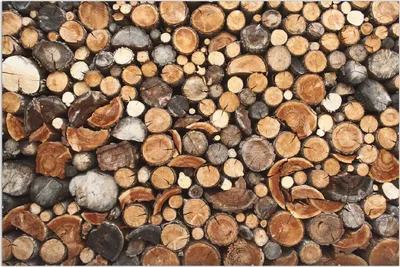Produktbild von Wallario Wandbild Dunkler Holzstapel rund, Größe: 61 x 91,5 cm, Poster mit rahmenlosen Bildhalter