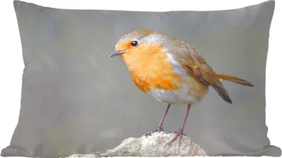 Produktbild von MuchoWow® Zierkissen Sofakissen Wohnzimmer Dekokissen 50x30 cm Vogel - Rotkehlchen - Felsen - Wohnzimmerdekoration - Polster mit Photo