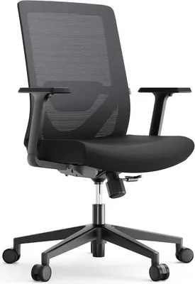 Produktbild von Yaasa Chair Lite Bürostuhl Ergonomisch, Schwarz – Traglast 120 kg – Lordosenstütze/Lendenverstärkung – 1D-Armlehnen – Anpassbare Rückenlehne