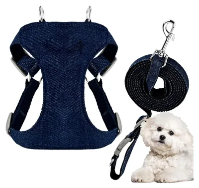 Produktbild von Kleines Hundegeschirr - Verstellbarer Schnellverschluss - Geschirr für Spaziergänge - Für kleine und mittlere Hunde sowie Welpen