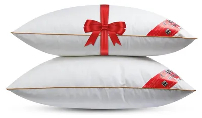 Immagine prodotto di Set di 2 cuscini ergonomici imbottiti con piume d'oca