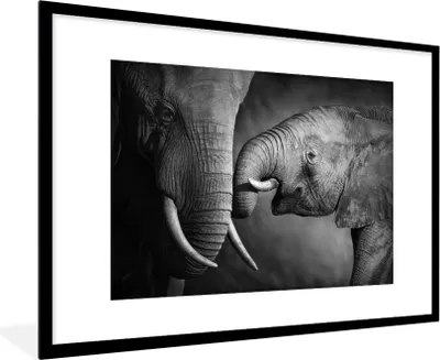 Produktbild von MuchoWow® Gerahmtes Poster Wildtiere - Elefant - Schwarz - Weiß - Porträt 90x60 cm - Poster mit Schwarzem Bilderrahmen Wandposter Rahmen Foto Bilder - Wanddekoration - Fotos